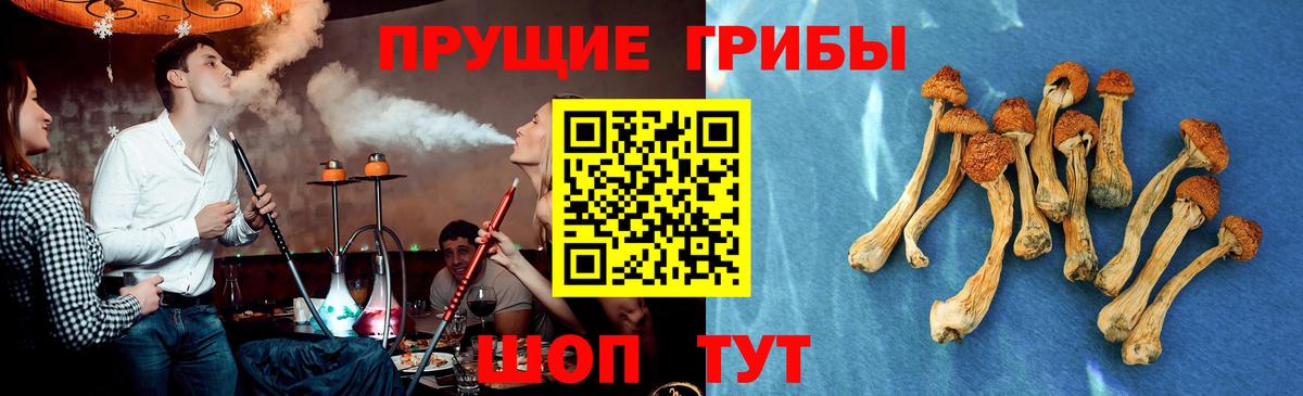 Псилоцибиновые грибы прущие грибы Магнитогорск